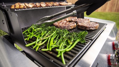 Weber Genesis E-315