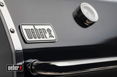Weber Genesis II E-410 GBS