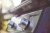 Weber Spirit E-215 GBS