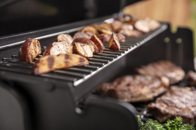 Weber Genesis E-315