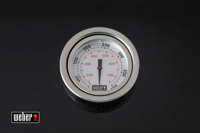 Weber Genesis II E-410 GBS