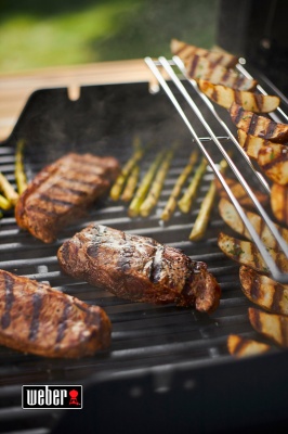 Weber Spirit Premium E-315 GBS