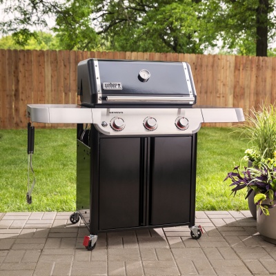 Weber Genesis E-315