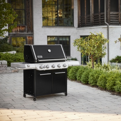 Weber Summit FS38 E