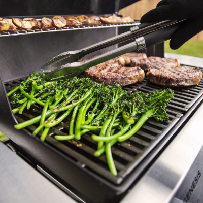 Weber Genesis E-315