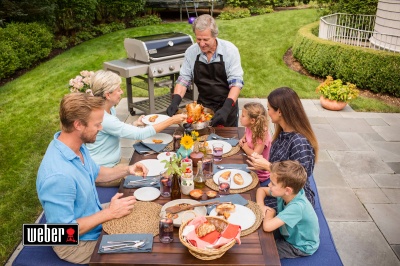 Weber Genesis II E-410 GBS
