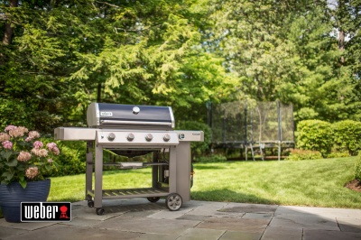 Weber Genesis II E-410 GBS