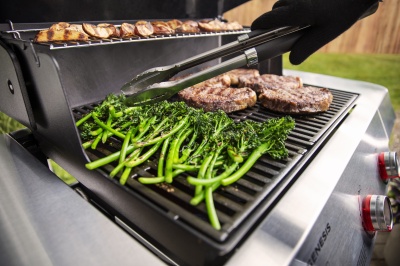 Weber Genesis E-315