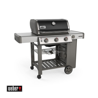  Weber Genesis II E-310 GBS