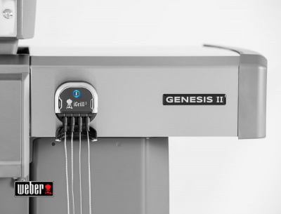  Weber Genesis II E-310 GBS