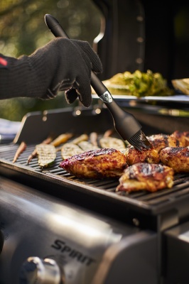 Weber Spirit E-215 GBS
