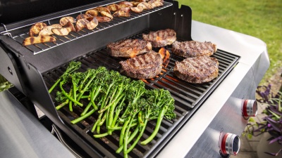 Weber Genesis E-315