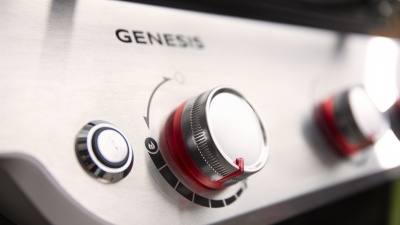 Weber Genesis E-315