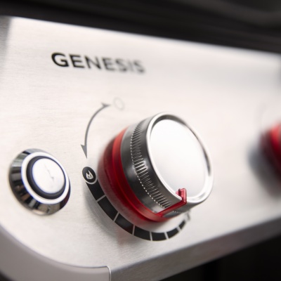 Weber Genesis E-315