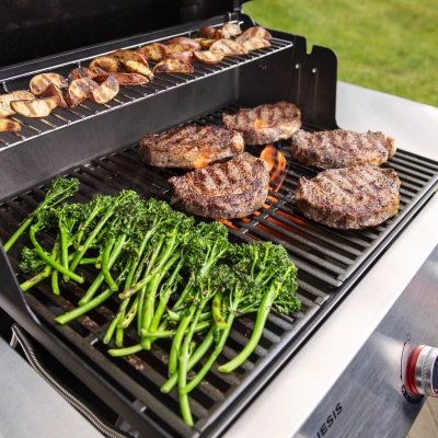 Weber Genesis E-315