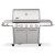 Weber Summit FS38 S