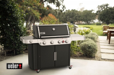  Weber Genesis E-435