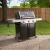 Weber Genesis E-315