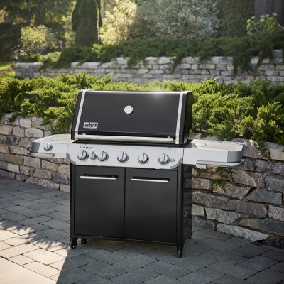 Weber Summit FS38 E