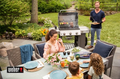  Weber Genesis II E-310 GBS