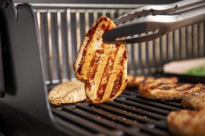 Weber Genesis E-315