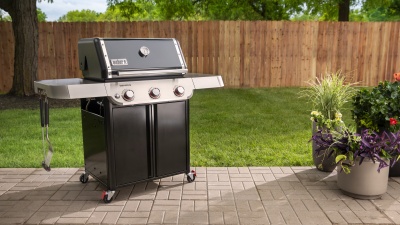 Weber Genesis E-315